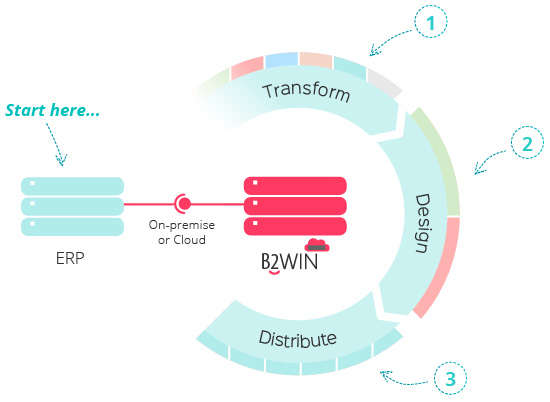 B2Win Infographic, Transform, Design, then Destribute B2Win Infographic, Transform, Design, then Destribute